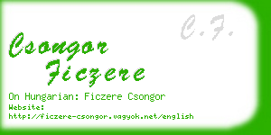 csongor ficzere business card